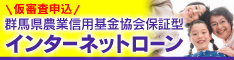 インターネットローン